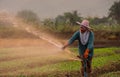 The farmer watering her plant