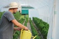 Farmer watering plants in a greenhouse