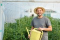 Farmer watering plants in a greenhouse