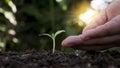 Farmer watering plants by hand, soil-plant growth ideas