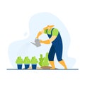 Farmer watering plants in pots in the garden