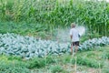 Farmer watering vegetable in Thailand countryside.