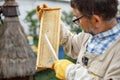 Farmer wearing bee suit cleaning honeycomb frame with brush