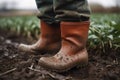 Farmer wearing rubber boots standing in wheatgrass field created by generative AI Royalty Free Stock Photo