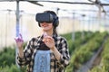 Farmer wearing VR headset for controlling process in greenhouse cultivation. Modern and smart agriculture concept.