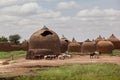 Farmer in western Africa. landscape with traditional african mud huts