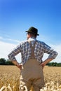 Farmer in a wheat field Royalty Free Stock Photo