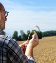 Farmer in a wheat field Royalty Free Stock Photo