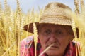Farmer in wheat field close up Royalty Free Stock Photo