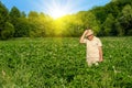 Farmer in the wheat field Royalty Free Stock Photo