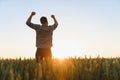 Farmer in wheat field planning harvest activity, female agronomist looking at sunset on the horizon. Royalty Free Stock Photo