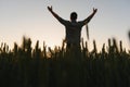 Farmer in wheat field planning harvest activity, female agronomist looking at sunset on the horizon. Royalty Free Stock Photo