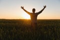 Farmer in wheat field planning harvest activity, female agronomist looking at sunset on the horizon. Royalty Free Stock Photo