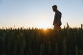 Farmer in wheat field planning harvest activity, female agronomist looking at sunset on the horizon. Royalty Free Stock Photo