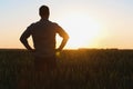 Farmer in wheat field planning harvest activity, female agronomist looking at sunset on the horizon. Royalty Free Stock Photo