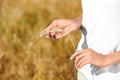 Farmer with wheat spikelet in field, closeup.