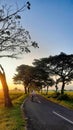 A farmer in the morning Royalty Free Stock Photo