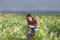 Farmer woman in corn field Royalty Free Stock Photo