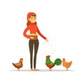 Farmer woman feeding chickens, poultry breeding vector Illustration