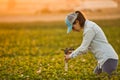 Farmer woman fixing irrigation system. Royalty Free Stock Photo