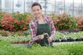 Farmer woman with gardening tool working in garden greenhouse