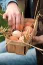 farmer woman gathering fresh eggs into basket at hen farm in countryside. Soft focus Royalty Free Stock Photo