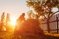 Farmer woman gathers hay with pitchfork at sunset in countryside. Hard work in village.