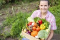 Farmer woman in gloves holding wooden box full of fresh raw vegetables. Basket with vegetable in the hands Royalty Free Stock Photo