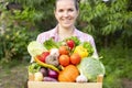 Farmer woman in gloves holding wooden box full of fresh raw vegetables. Basket with vegetable in the hands Royalty Free Stock Photo