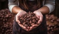 Farmer woman hands holding cocoa beans. Chocolate time. AI generated Royalty Free Stock Photo