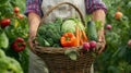 Farmer woman holding wooden basket full of fresh raw vegetables. Basket with vegetable Royalty Free Stock Photo