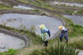 Farmer woman in Maruyama Royalty Free Stock Photo