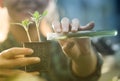 Farmer woman pouring chemicals in seedling Royalty Free Stock Photo