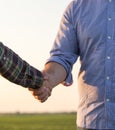 Farmers shaking hands in field Royalty Free Stock Photo