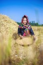 Farmer woman threshed rice in field Royalty Free Stock Photo