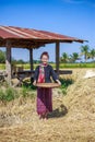 Farmer woman threshed rice in field Royalty Free Stock Photo