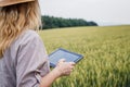 Farmer woman using modern technology for smart farming Royalty Free Stock Photo