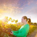 Farmer woman in vineyard harvest autumn leaves in mediterranean Royalty Free Stock Photo