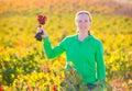 Farmer woman in vineyard harvest autumn in mediterranean Royalty Free Stock Photo