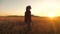 Farmer woman working with tablet on wheat field. agronomist with tablet studying wheat harvest in the field. business Royalty Free Stock Photo