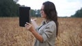 Farmer woman working with tablet on wheat field. Agronomist with tablet talking on video communication reporting data of Royalty Free Stock Photo