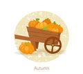 Farmer wooden cart with pumpkin. Autumn harvest pumpkins in wood wagon isolated on white background for Thanksgiving