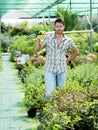 Farmer at work in a greenhouse Royalty Free Stock Photo