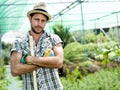 Farmer work in a greenhouse Royalty Free Stock Photo