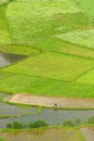 Farmer work in Guizhou China