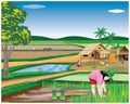 Farmer work in paddy field Royalty Free Stock Photo