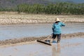 Farmer work on rice field using rake, Rice plantations covered with water.