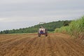 Farmer work on sugarcane field, herbicide application, Kampangphet, Thailand on November8, 2017 Royalty Free Stock Photo