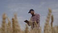 Digitization of agriculture industry farmer worker in corn field using tablet wheat crop monitoring