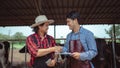 Farmer and worker shaking hands on the dairy farm,Agriculture industry, farming and animal husbandry concept ,Cow on dairy farm Royalty Free Stock Photo